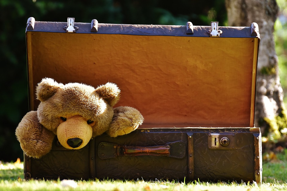 https://pixabay.com/en/luggage-antique-teddy-soft-toy-1650171/