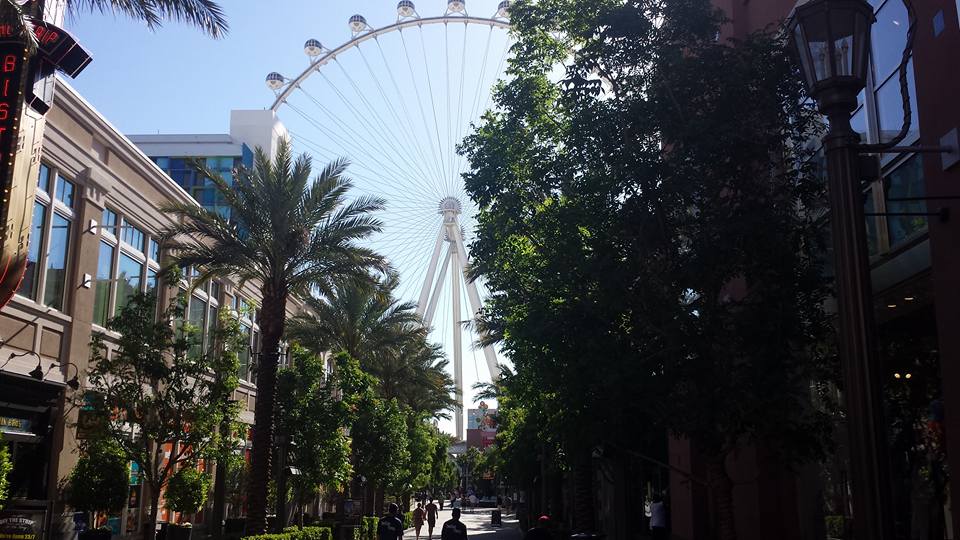 Photo taken by author, Deborah-Diane; all rights reserved.