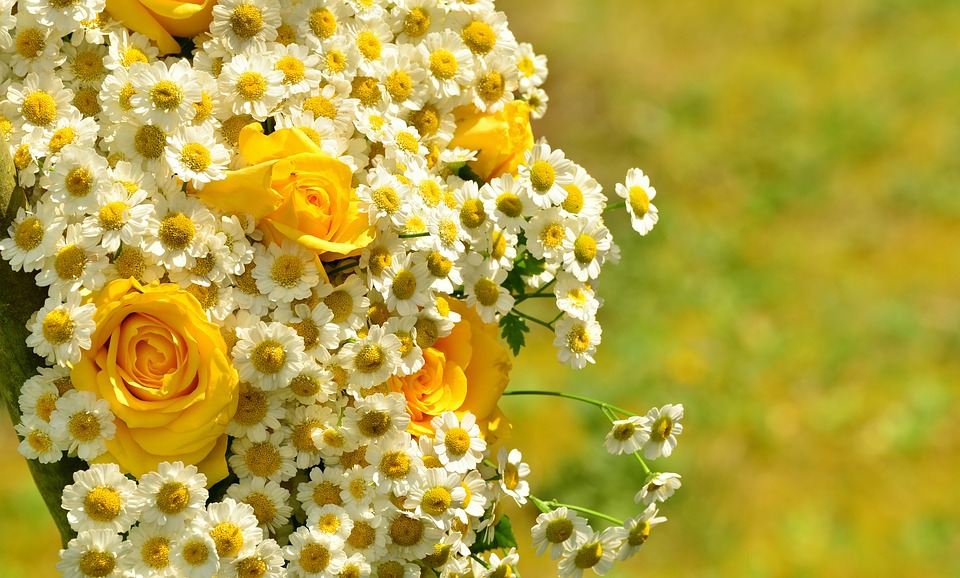 https://pixabay.com/en/bouquet-roses-yellow-roses-daisies-1506250/