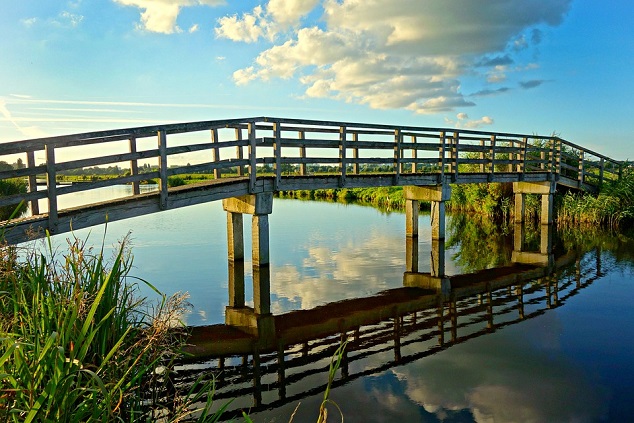 bridge bridge