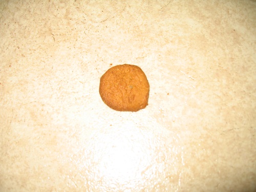 My photo: Cookie on the floor