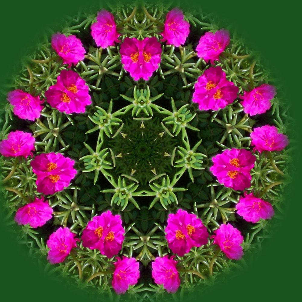 Photo manipulation is mine Photo manipulation is mine