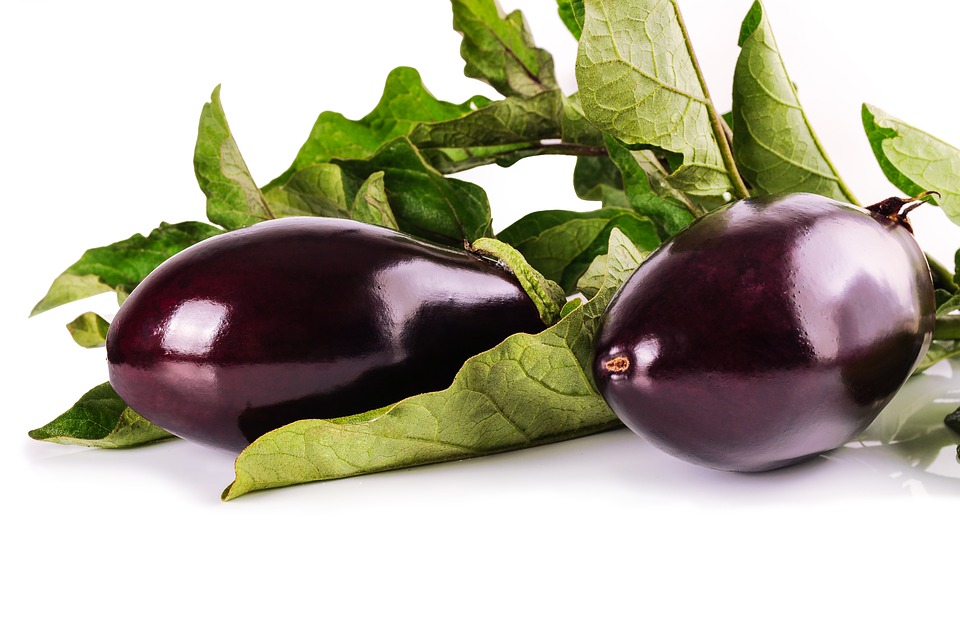 https://pixabay.com/en/eggplant-leaves-vegetables-1659784/ https://pixabay.com/en/eggplant-leaves-vegetables-1659784/