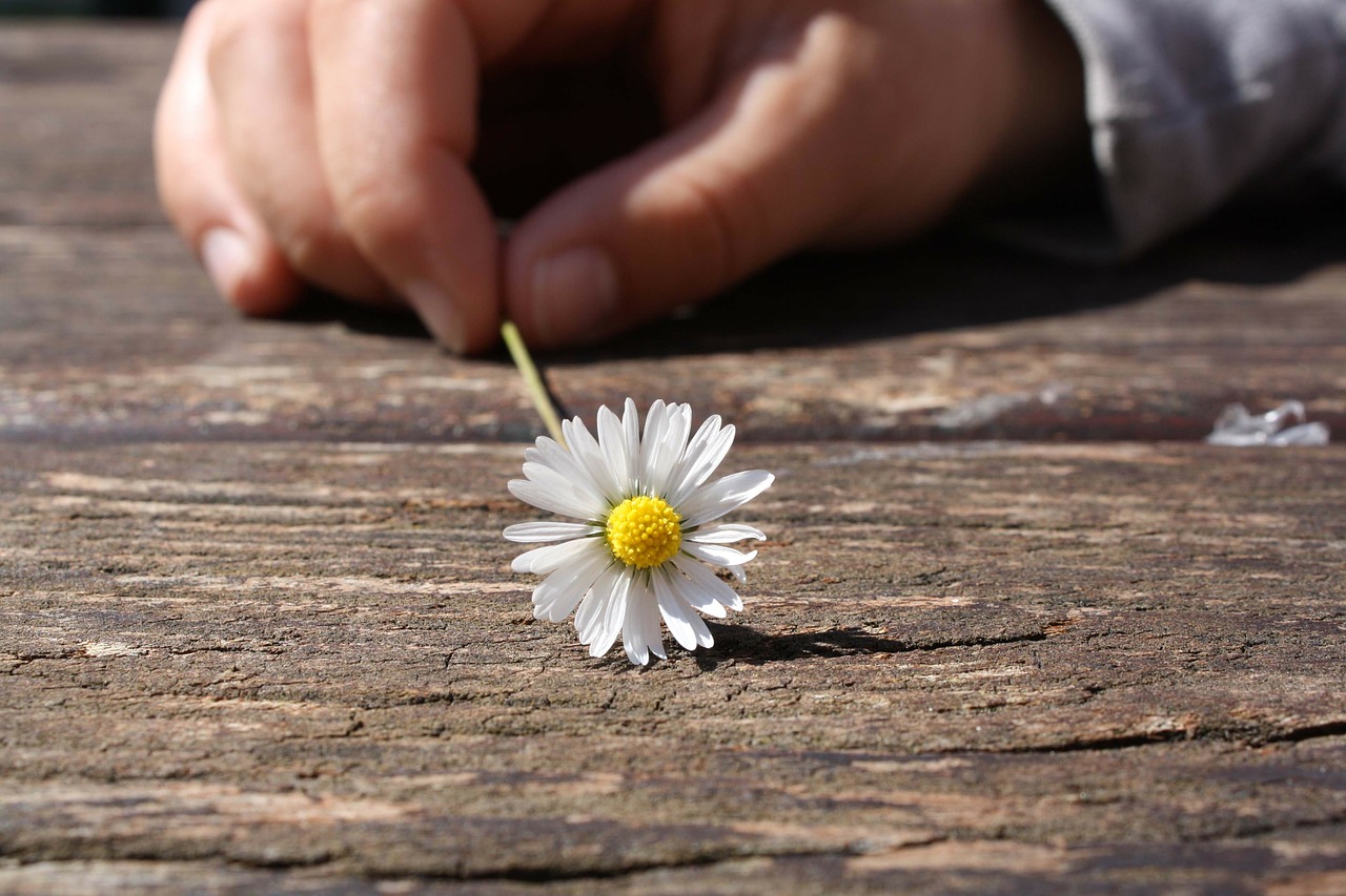 Life, I think, has a mind of its own, which we shouldn't mind about too much! Life, I think, has a mind of its own, which we shouldn't mind about too much!