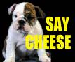 say cheese - smile is what you have to do...don't just look-enter this great world of Planet Mylot