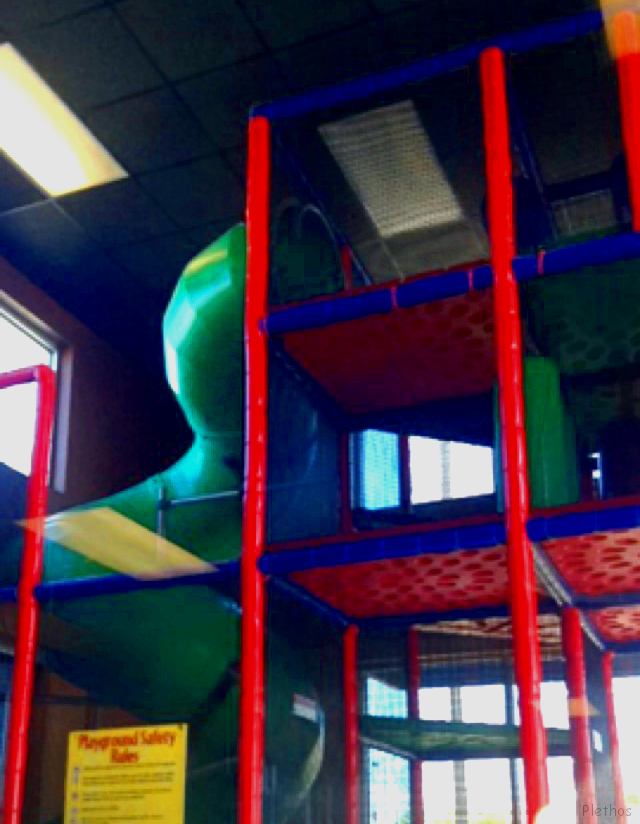 Apparatus for Pet Hamster Children