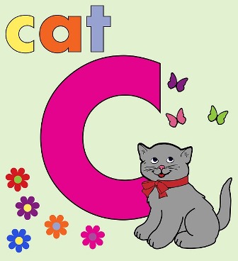 https://pixabay.com/en/letter-c-c-alphabet-letter-c-909232/ https://pixabay.com/en/letter-c-c-alphabet-letter-c-909232/