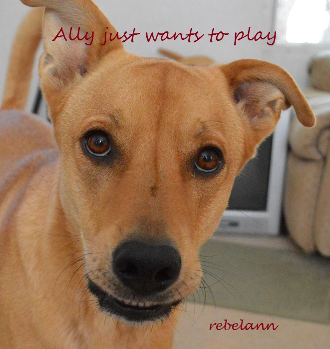 Ally wants me to play, she was a little younger then Ally wants me to play, she was a little younger then
