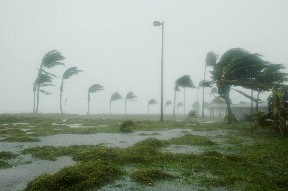 https://pixabay.com/en/key-west-florida-hurricane-dennis-86025/ https://pixabay.com/en/key-west-florida-hurricane-dennis-86025/