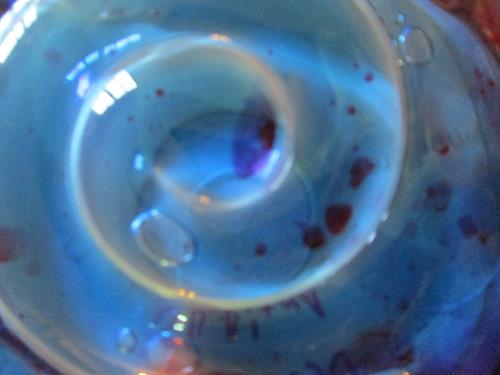 Photo is mine -- See if you can guess what it is Photo is mine -- See if you can guess what it is