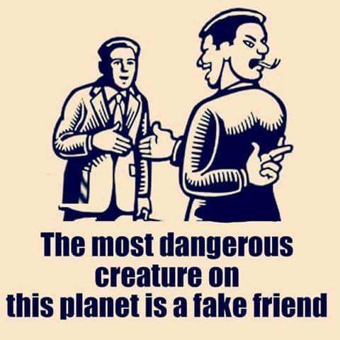 Fake friends are dangerous 