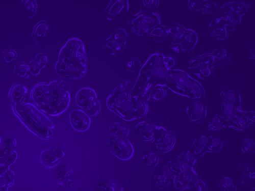 bubble - fSf