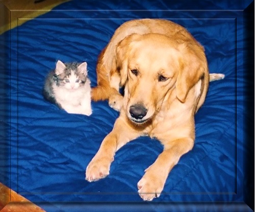 This is Gracie and her baby Spunky in 1991, aren't they adorable? This is Gracie and her baby Spunky in 1991, aren't they adorable?