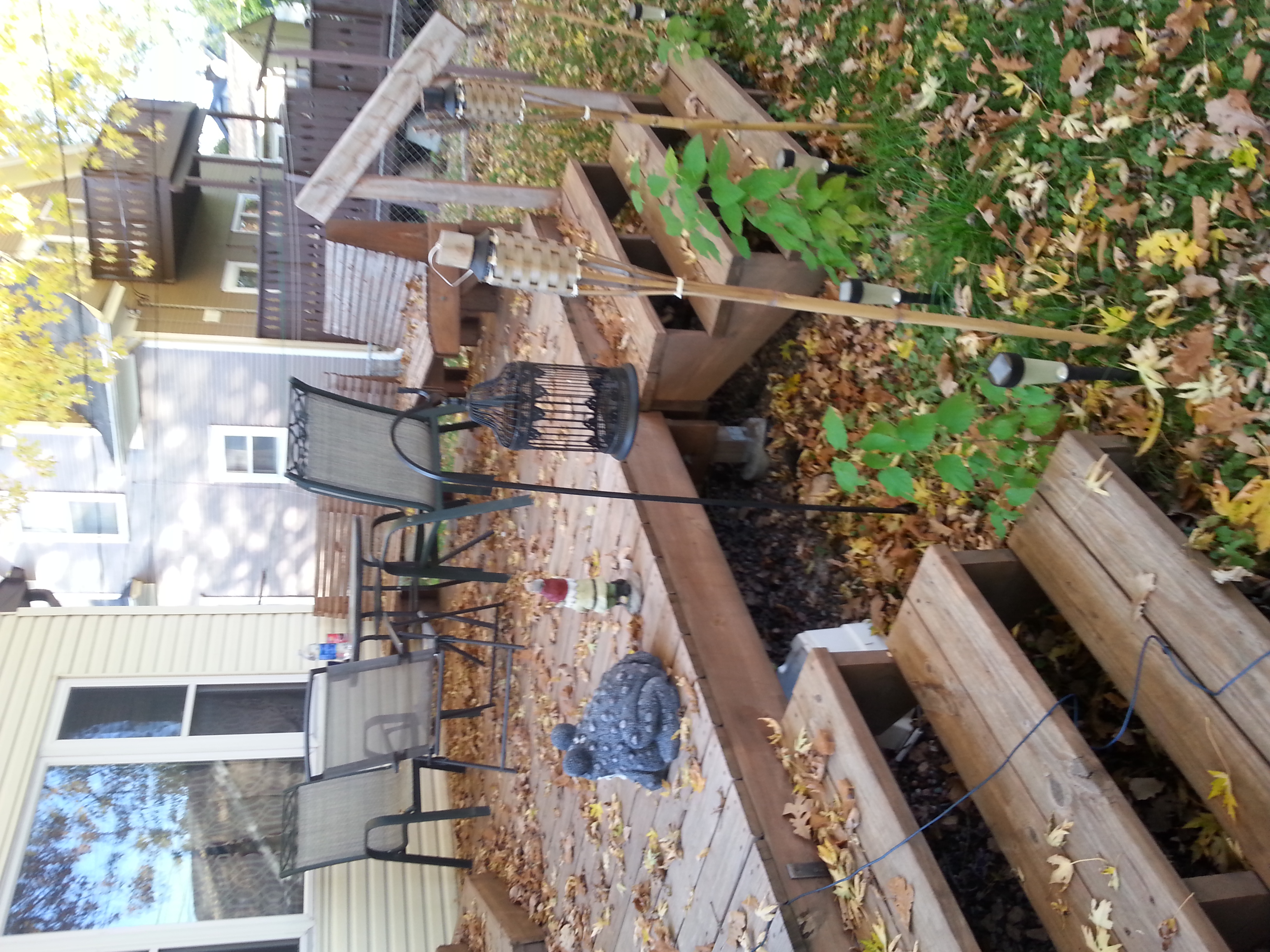 yard yard