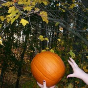 Dr. Darcie tossing a pumpkin Photo by Pat Z Anthony Dr. Darcie tossing a pumpkin Photo by Pat Z Anthony