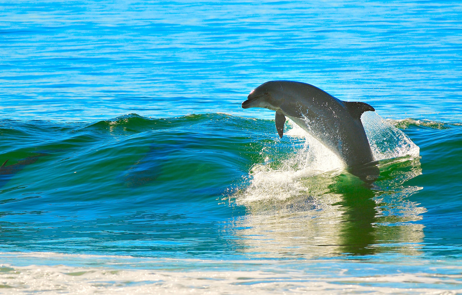 Picture by Pixabay Picture by Pixabay
