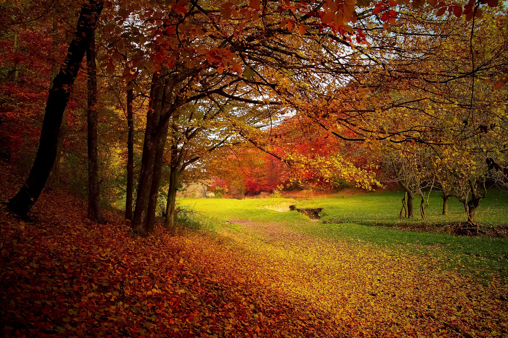 Picture by Pixabay
