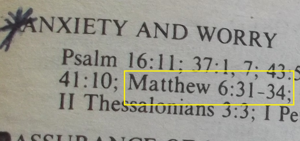 Scan of my Bible, cropped to show the verse Scan of my Bible, cropped to show the verse