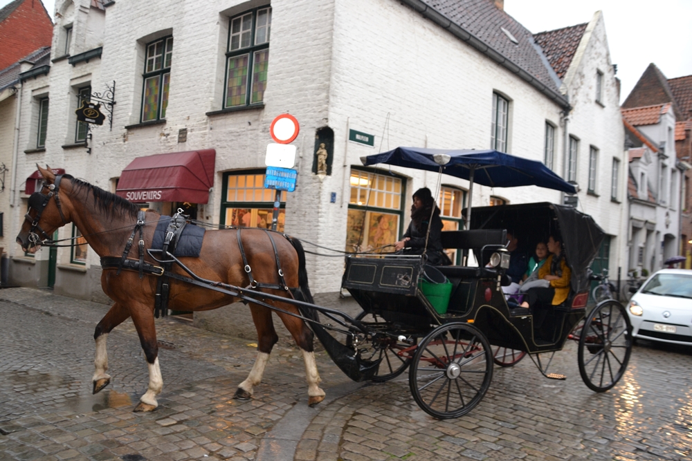A horse in Brugge - the only one I have A horse in Brugge - the only one I have