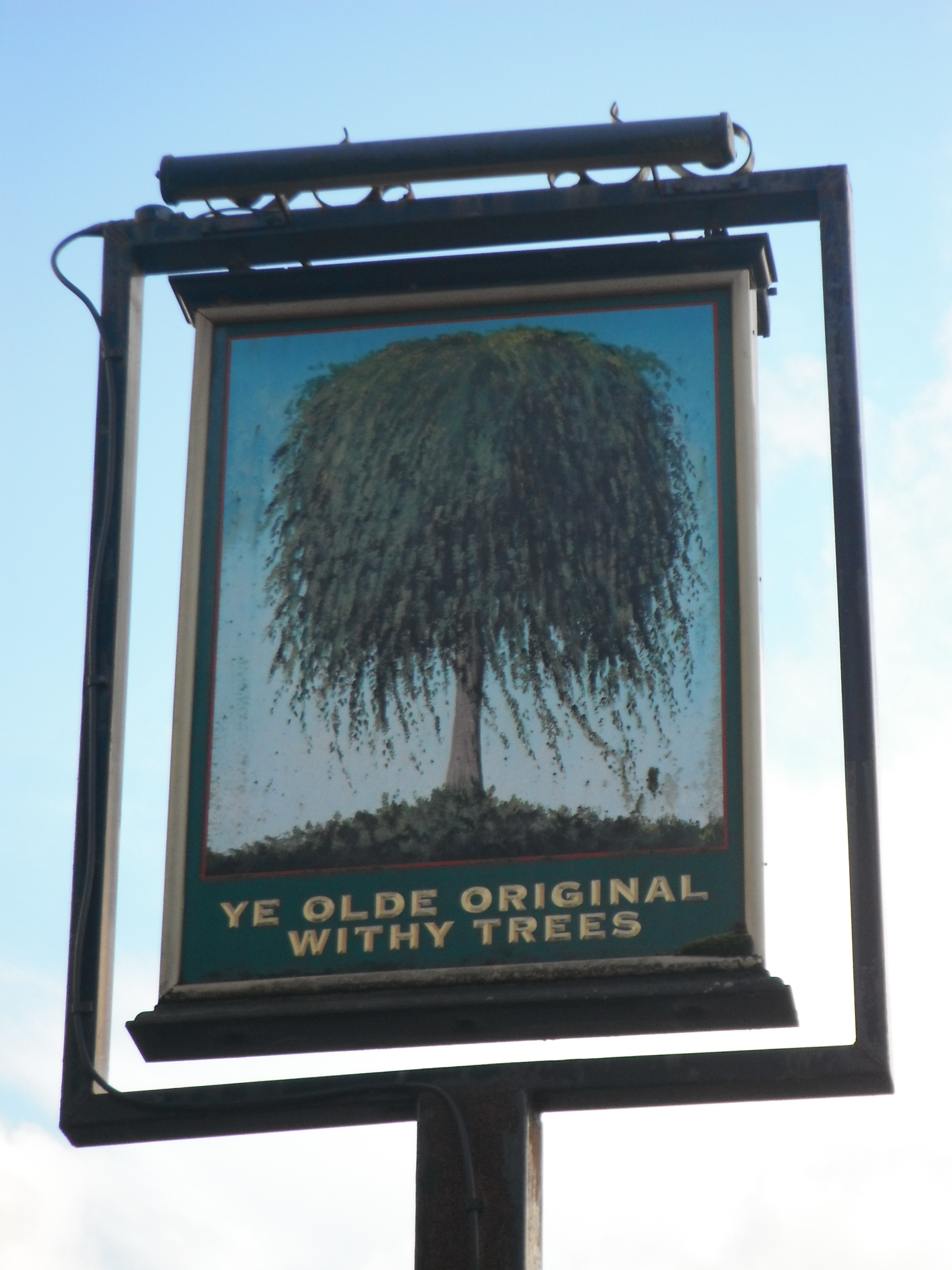 Photo taken by me - Ye Olde Original Withy Trees