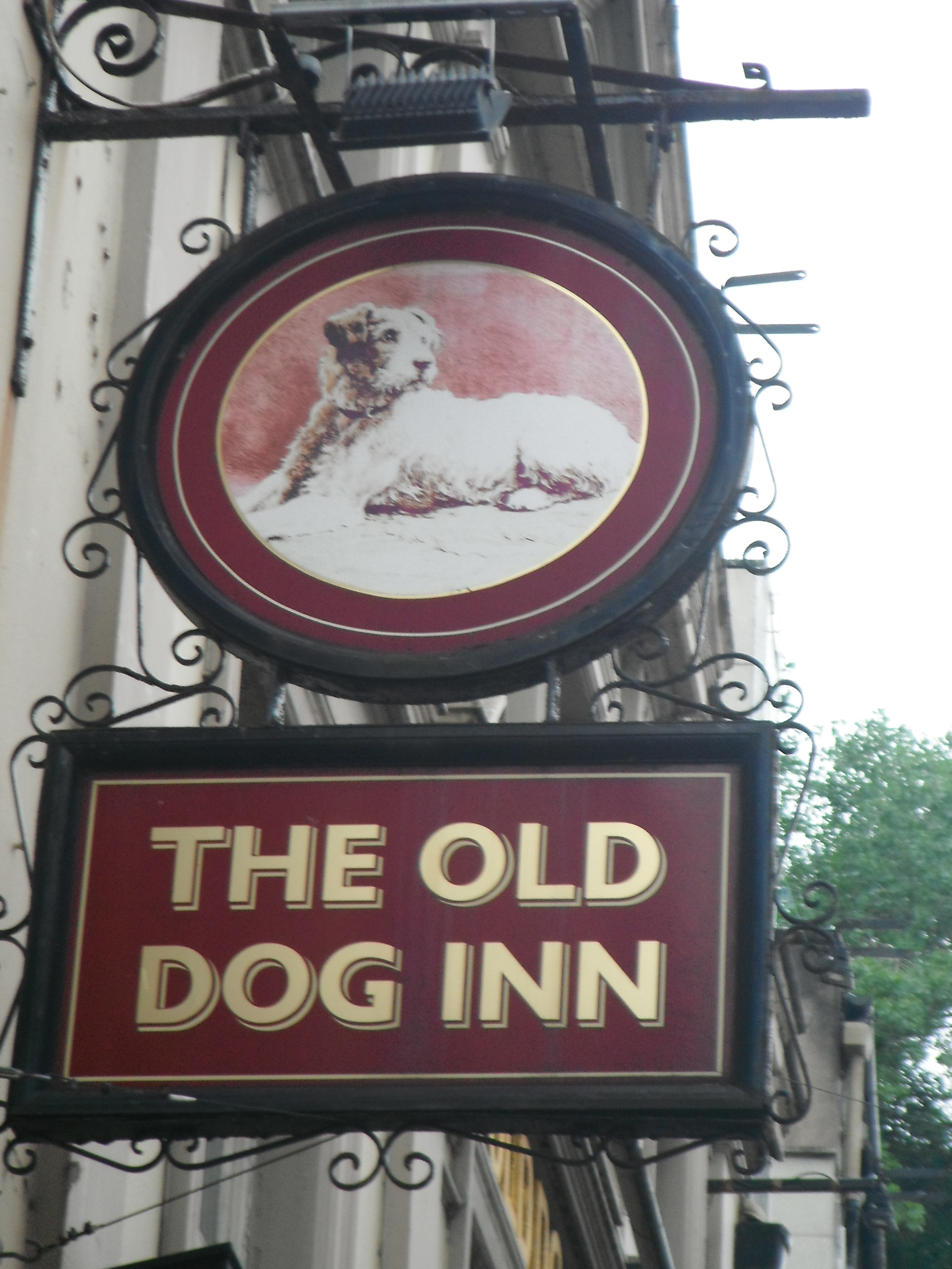 Photo taken by me – The Old Dog Photo taken by me – The Old Dog