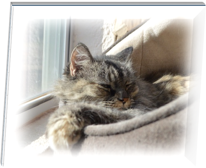 Boobear just chillin Boobear just chillin