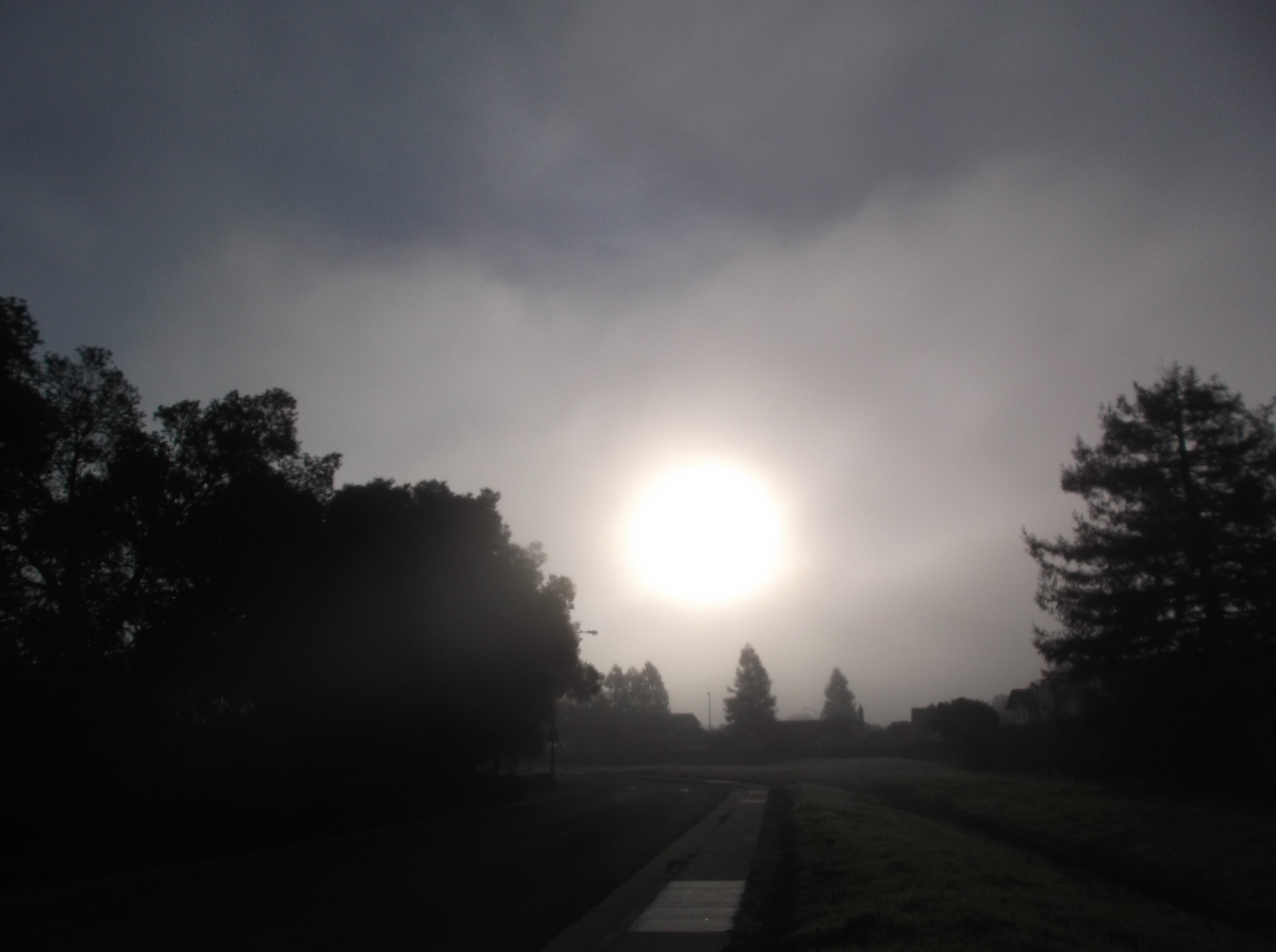 Photo I took on my walk with Angel yesterday Photo I took on my walk with Angel yesterday