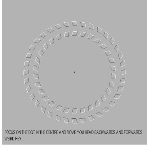 FOCUS ON THE DOT - FOCUS ON THE DOT