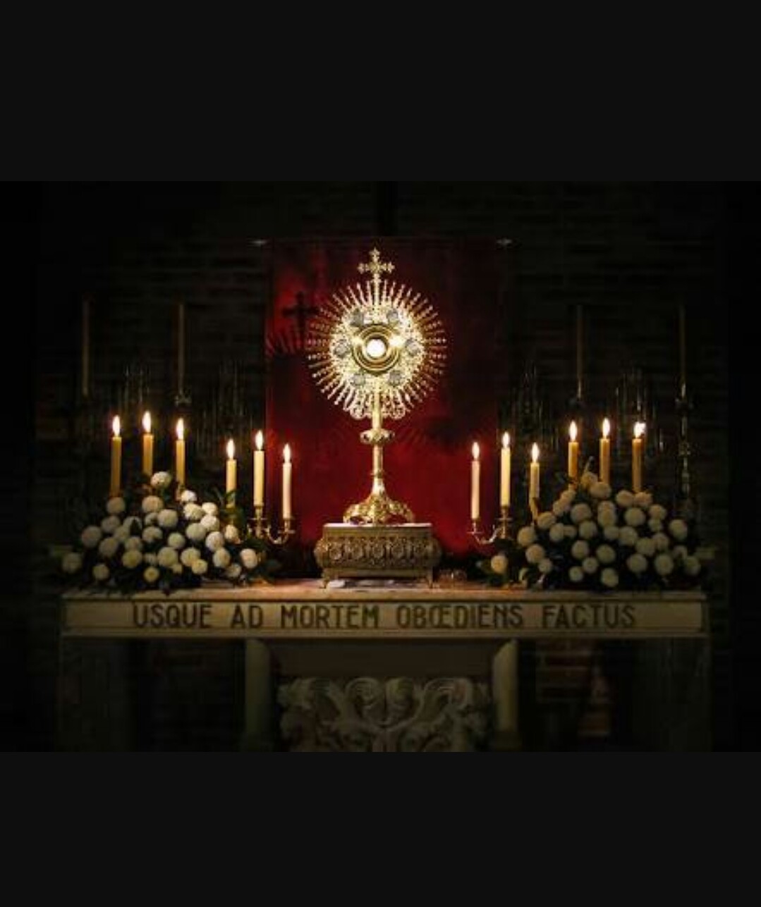 Photo for thecatholiccompany.com