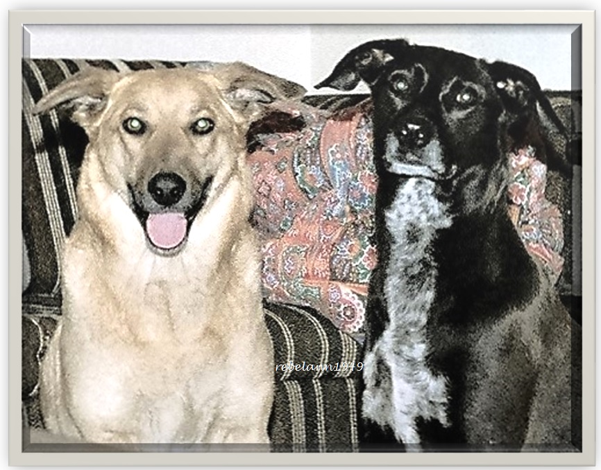 Rebel, on the right, with her daughter Sandi probably 1984. Rebel, on the right, with her daughter Sandi probably 1984.
