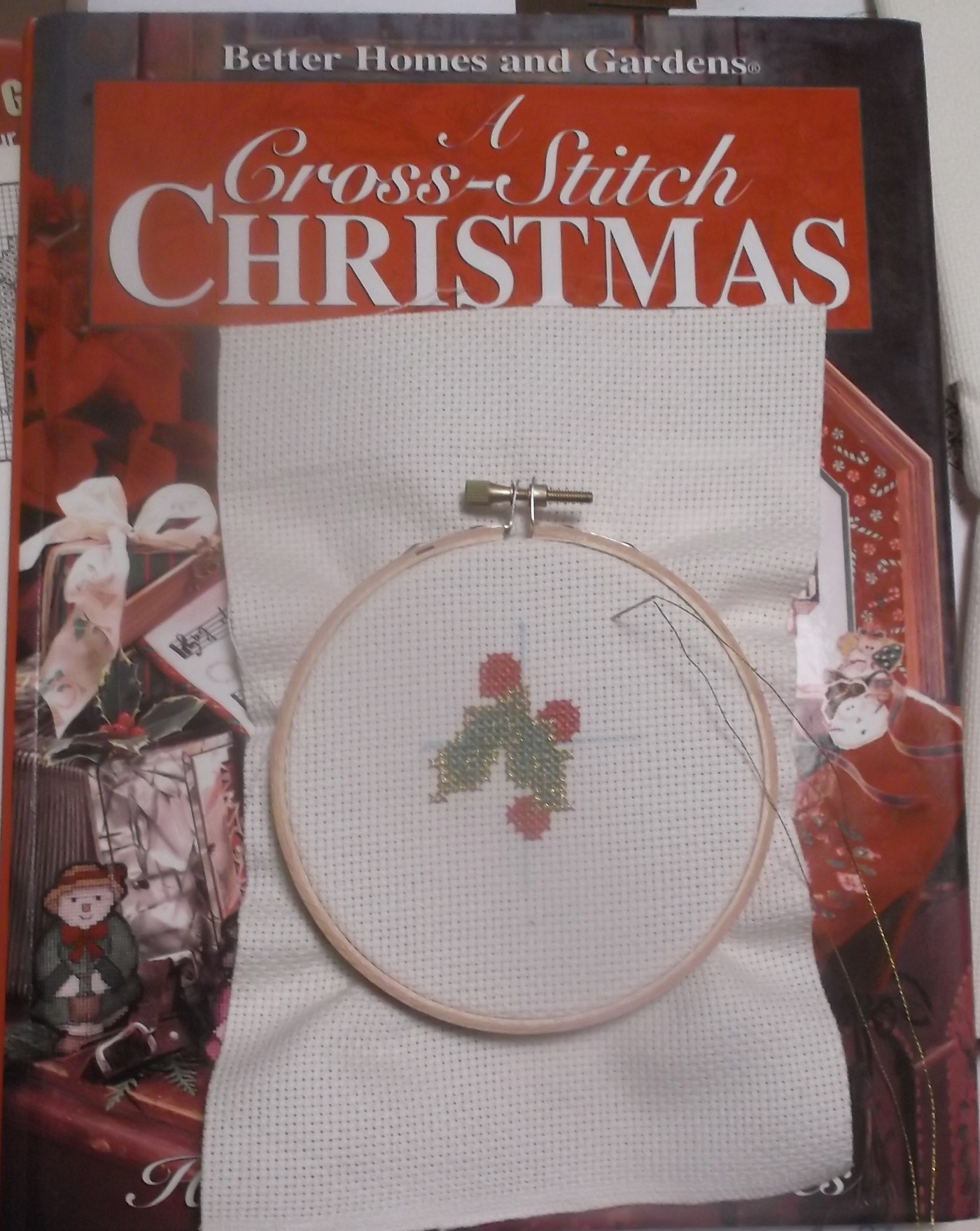 Photo I took of my current project--jar lid decoration with holly Photo I took of my current project--jar lid decoration with holly