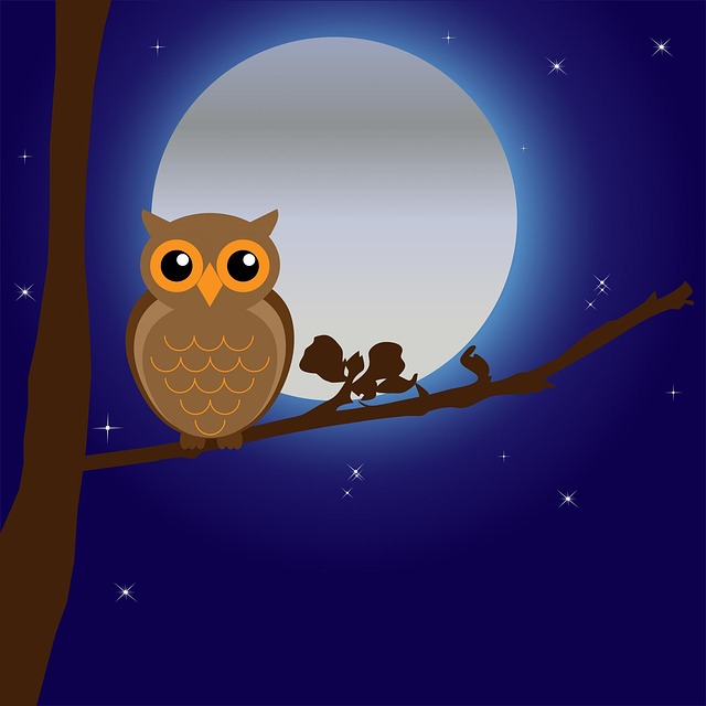 https://pixabay.com/en/owl-bird-animal-tree-branch-night-163574/