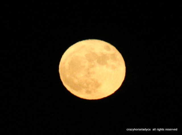 supermoon 2016 ~ crazyhorseladycx all rights reserved
