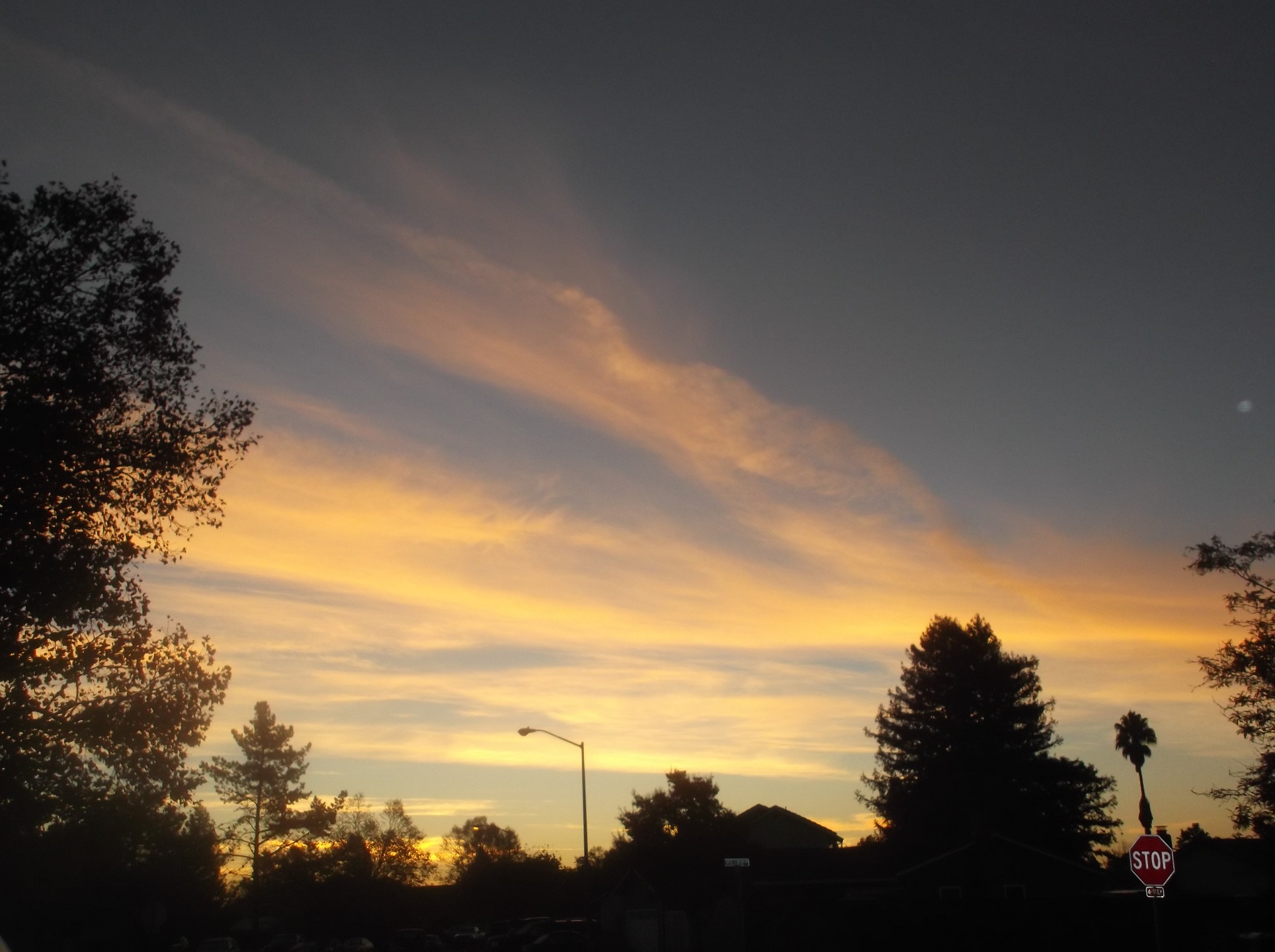 Photo I took 11-10-16 Photo I took 11-10-16