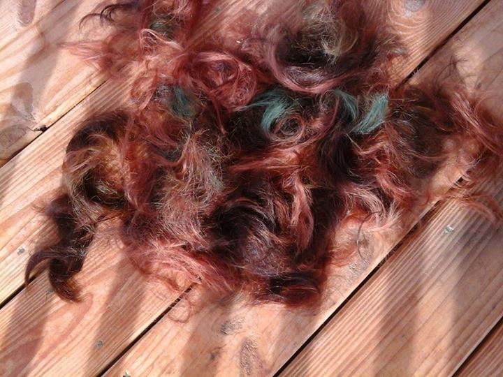 Hair Hair