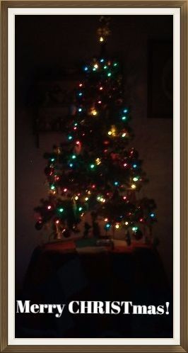 Photo i took of our tree last year with additions Photo i took of our tree last year with additions