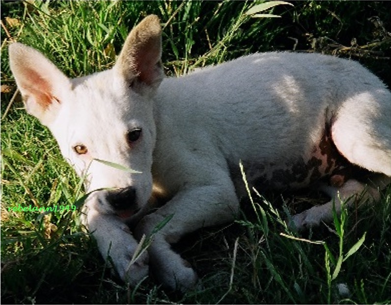 Mykey in 2003, he was so adorable. Mykey in 2003, he was so adorable.