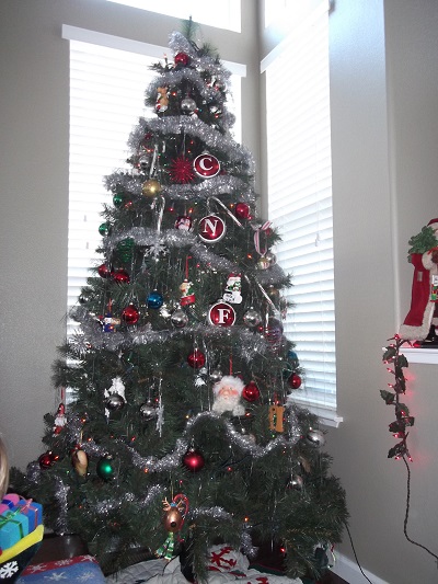 Brother's Christmas tree taken 2014