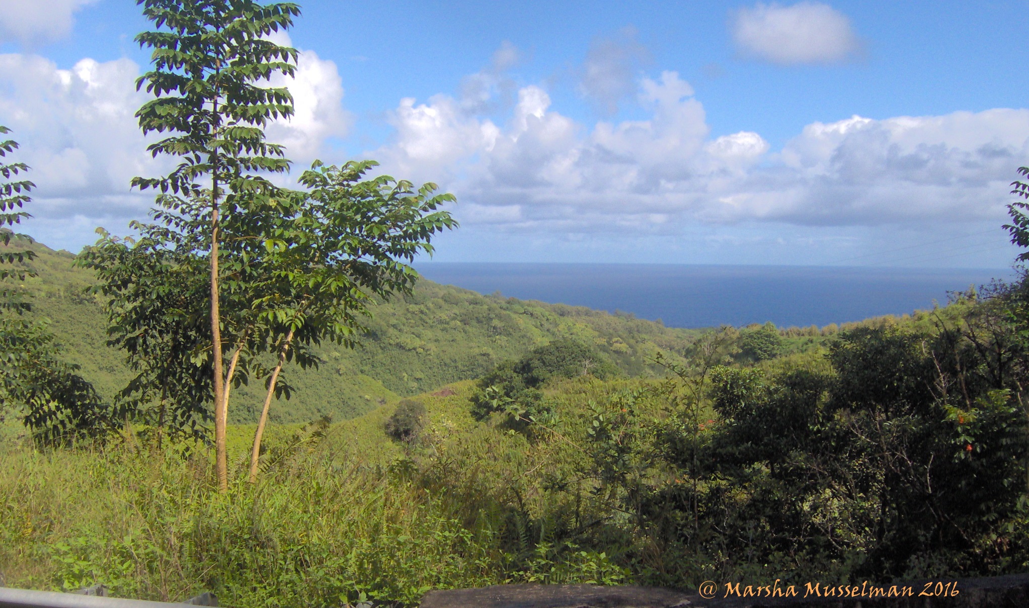 © 2016 Marsha Musselman. Another view of Maui taken in 2005 with my camera. © 2016 Marsha Musselman. Another view of Maui taken in 2005 with my camera.