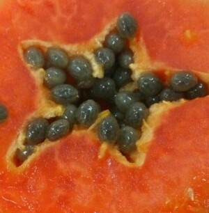 Star shape inside Papaya