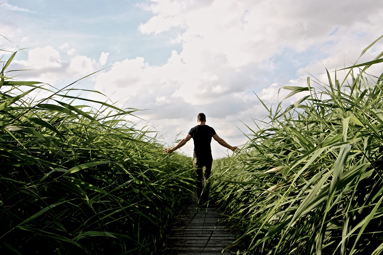 https://pixabay.com/en/high-grass-walk-relax-enjoy-1504284/ https://pixabay.com/en/high-grass-walk-relax-enjoy-1504284/