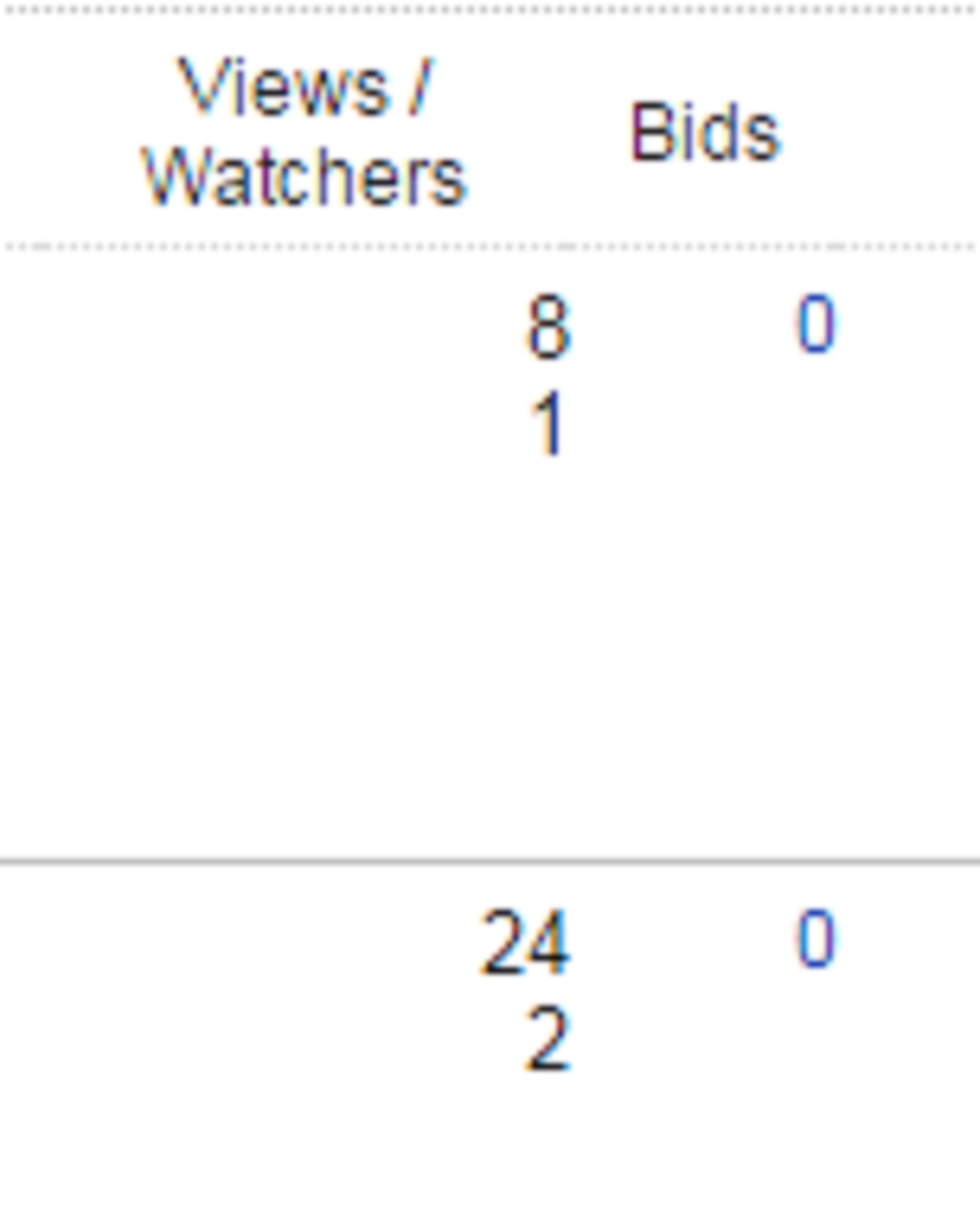 Screen cap of the watchers I have on ebay items