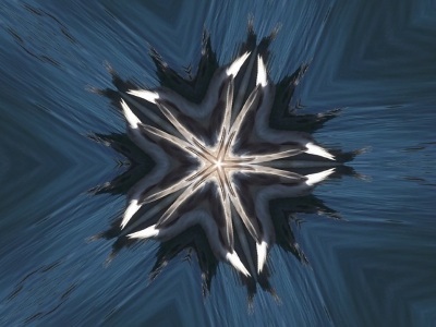 Photo I took with Kaleideoscope effect on LunaPic Photo I took with Kaleideoscope effect on LunaPic