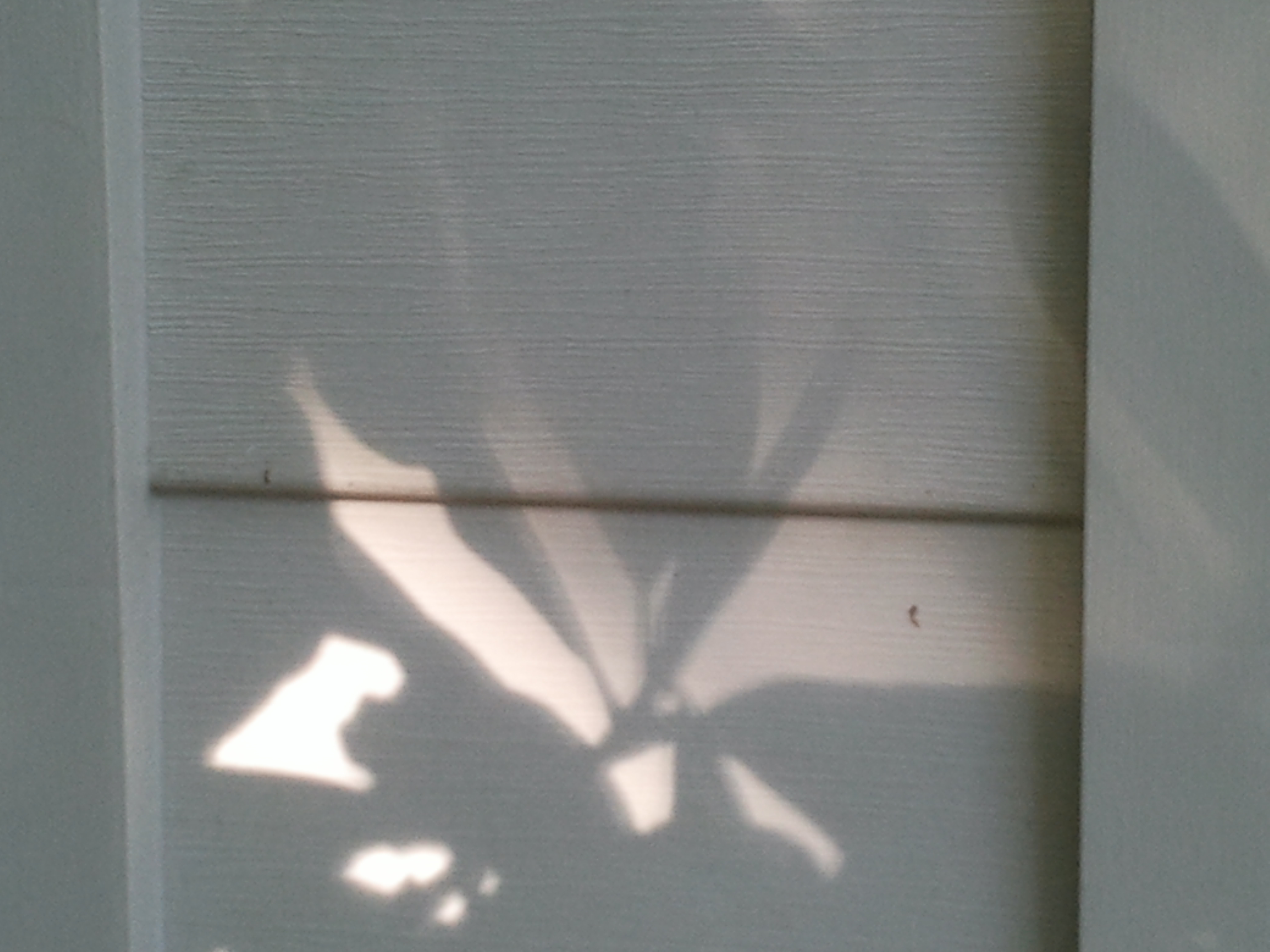 Photo of shadows by Pat Z Anthony 