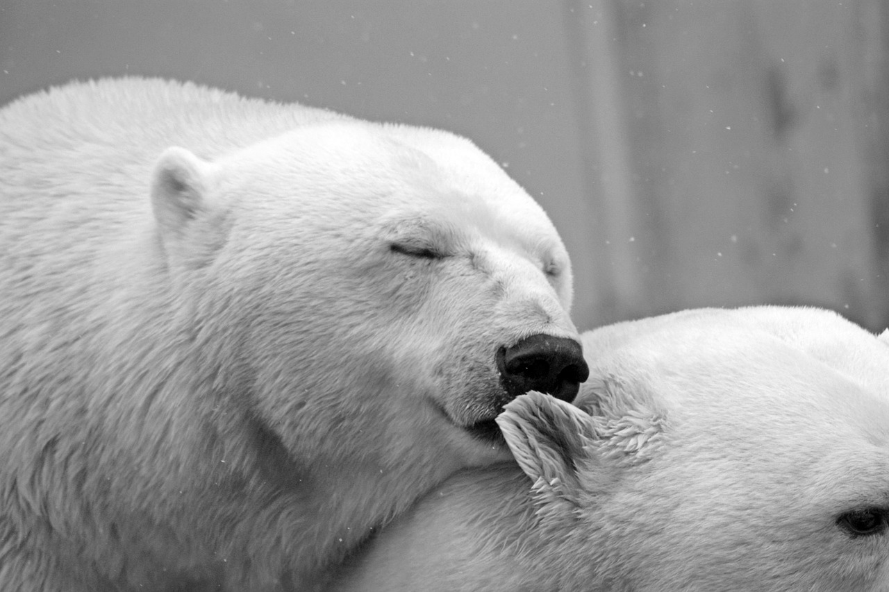 Zzzzzz... Pixabay image Zzzzzz... Pixabay image