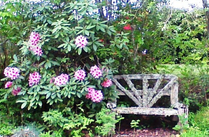 A place to sit and relax, my photo A place to sit and relax, my photo