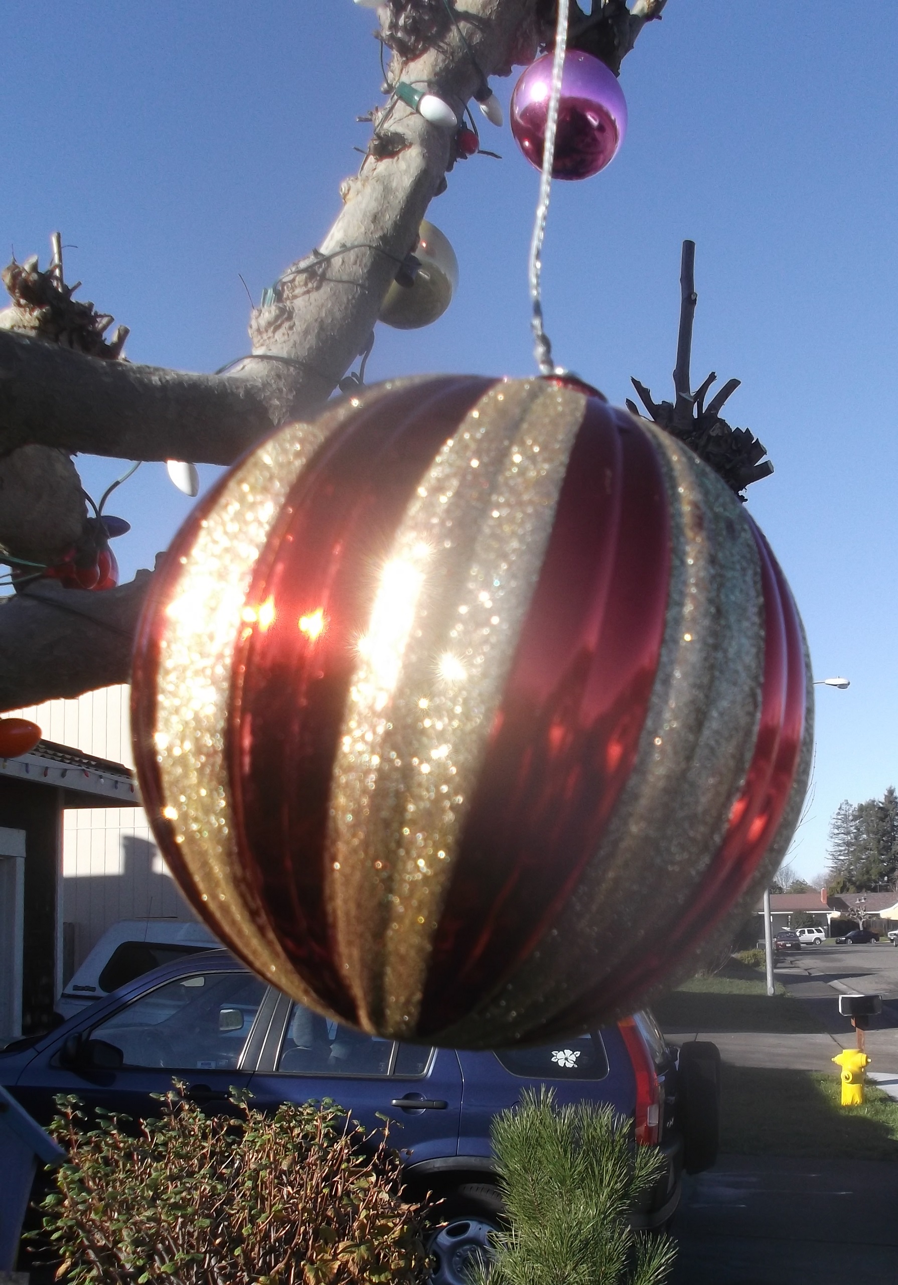 Ornament from our neighbors&#039; tree in their front yard