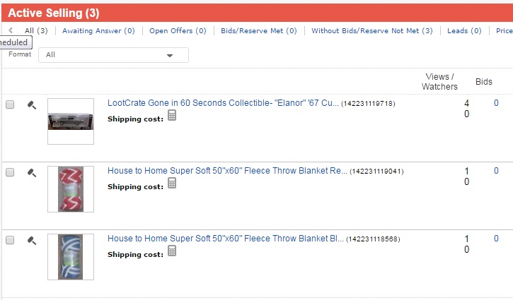 Screen cap of items I have on eBay