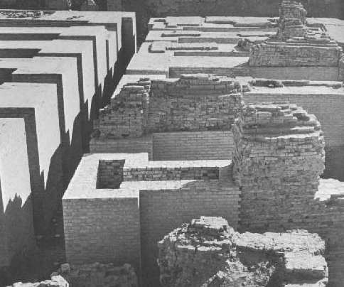 garden site.................... - its a picture of garden site.. its old culture... and at that time there were garden at this site.
