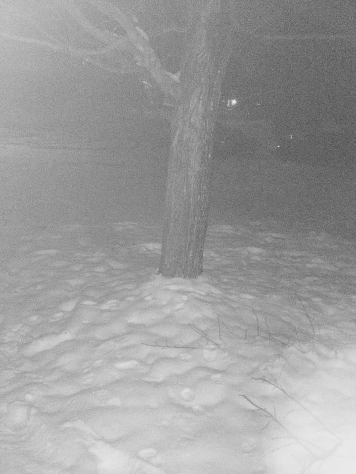 January 9, 2017 at around 11:15 PM January 9, 2017 at around 11:15 PM